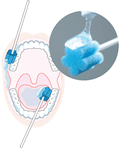 ㈱東京技研 口腔ケア情報サイト Viva-Luck Oral Careへようこそ！